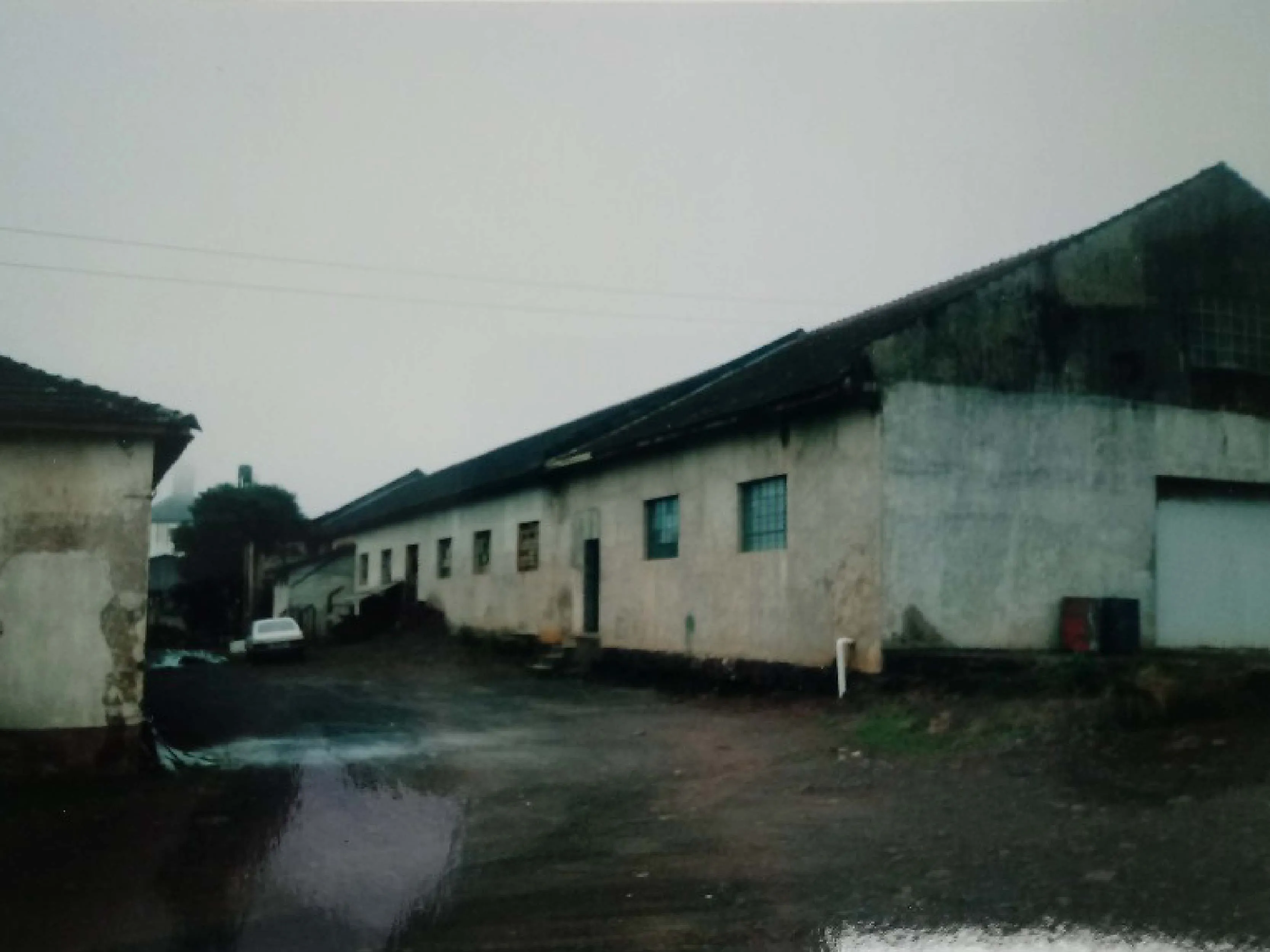 1991