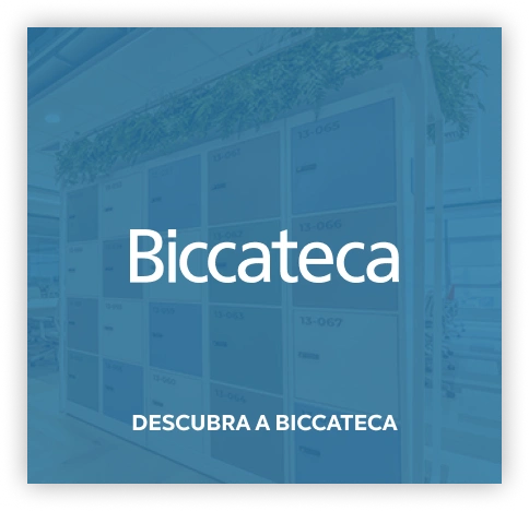 Descubra a Biccateca